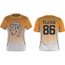 High Quality breathable youth adult men crew neck fast  pitch custom sublimated fast pitch  shirts 100% polyester sport wear